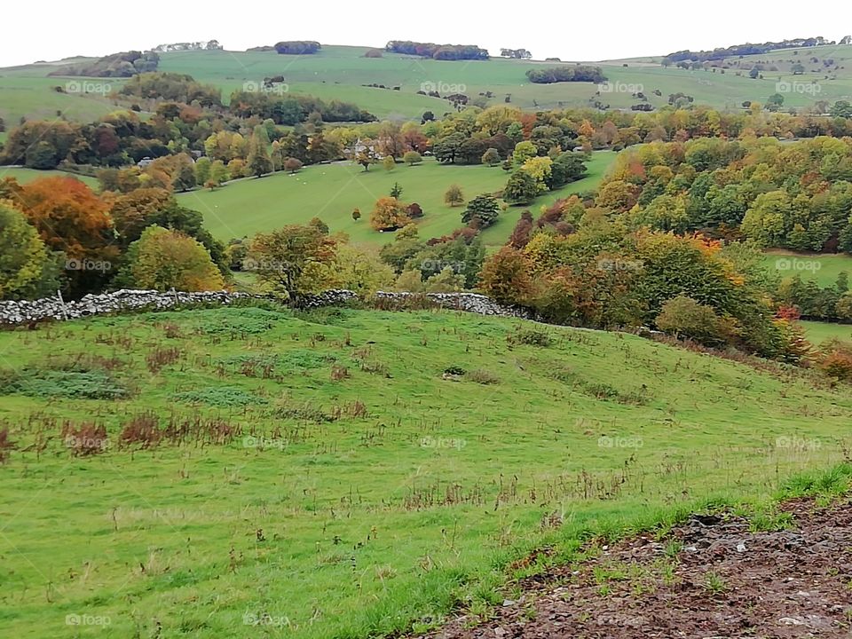 landscape, Tissington, Derbyshire