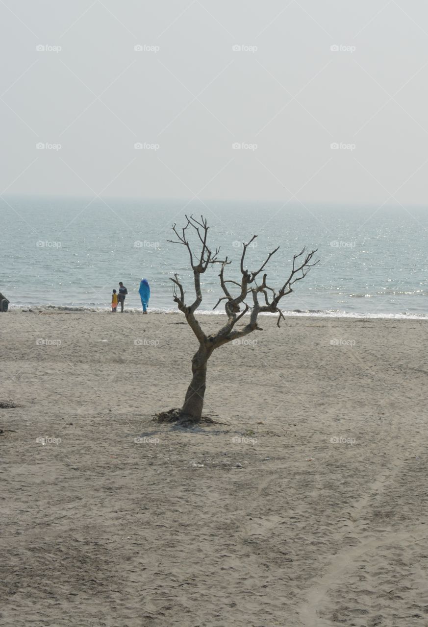 bangladesh kuakata see beach