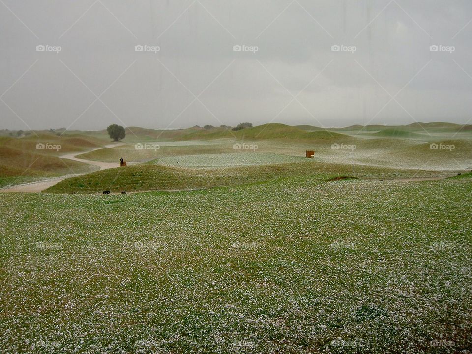 grass cloud hail golfcource by anetteaventyr