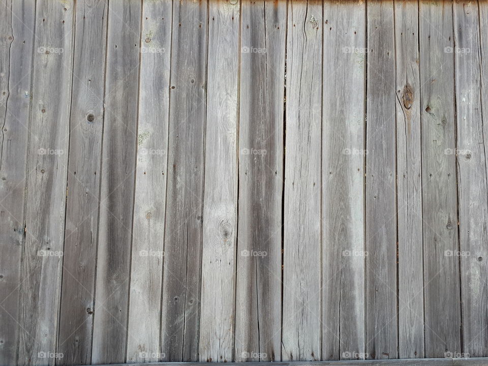 Old wooden fence. Grey wood board texture