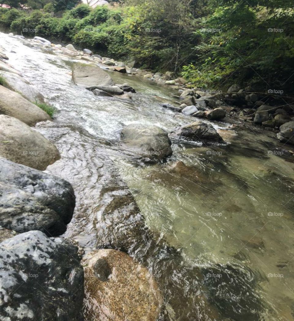 beautiful riverside view