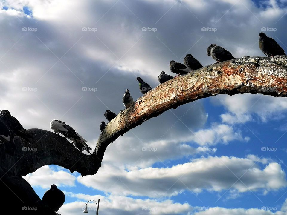 The pigeons are standing on a sculpture and waiting for the rain that is looming on the clouds above them