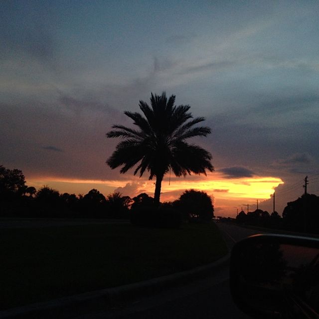Beautiful evening 
