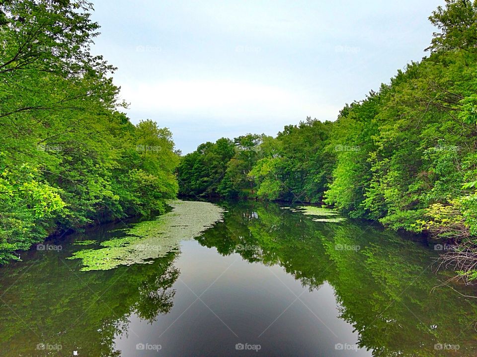 Lake against clear sky