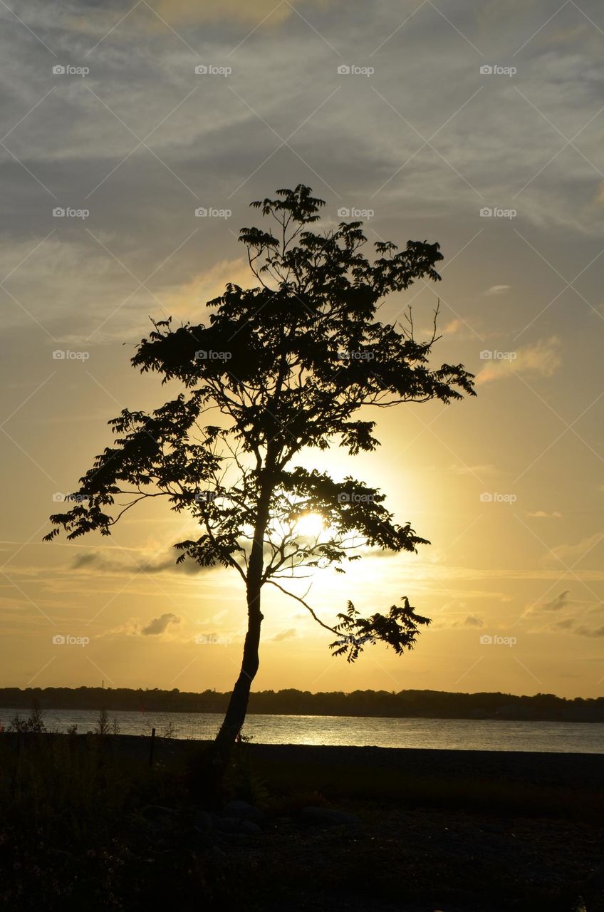 Panoramic nature and sunny views in Silver Sands state park in Milford, Connecticut.  