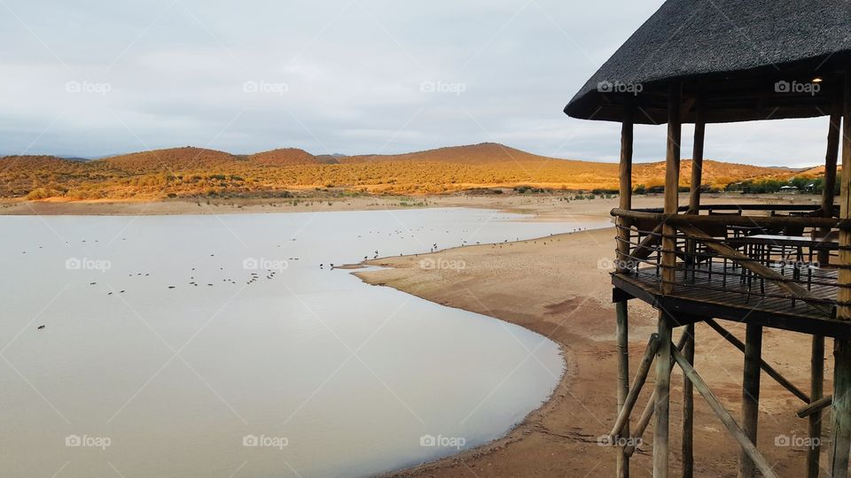 Game reserve view 