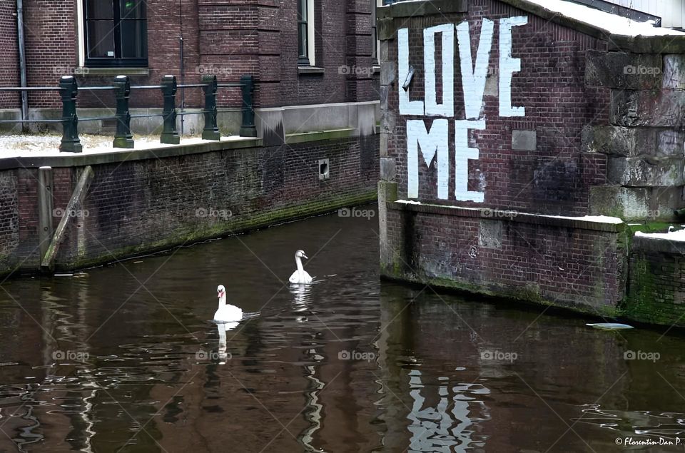 Arhitectural Marvels