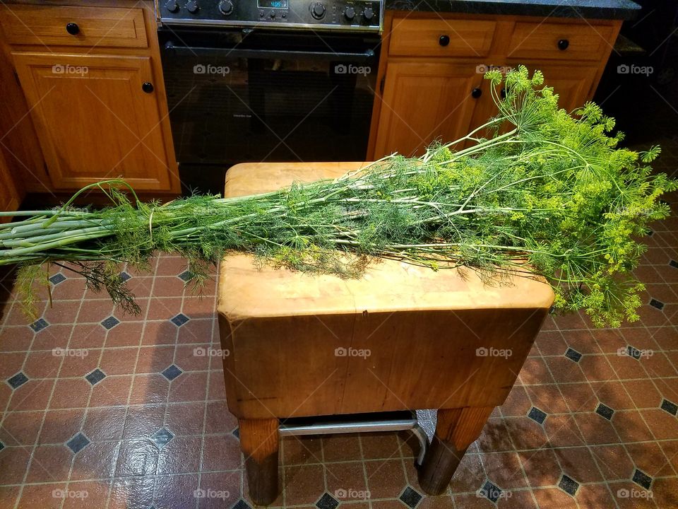 Bunch of fresh Dill plants used for pickling, laying on kitchen chopping block.