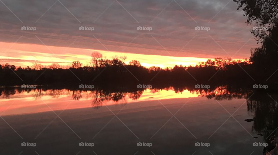 Silhouette of trees reflecting in lake