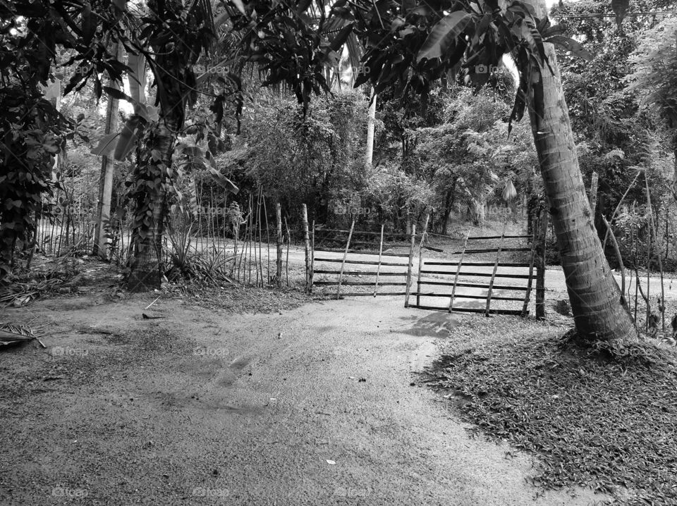 An old gate in a Village house. It made of wood.