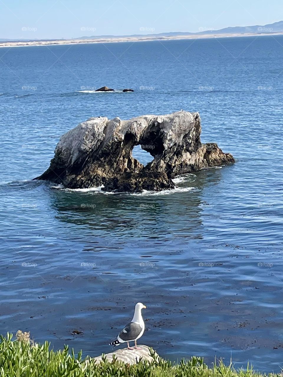 Shell Beach Rock 2