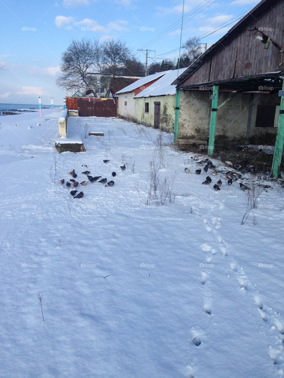 Зима на Чёрном море 