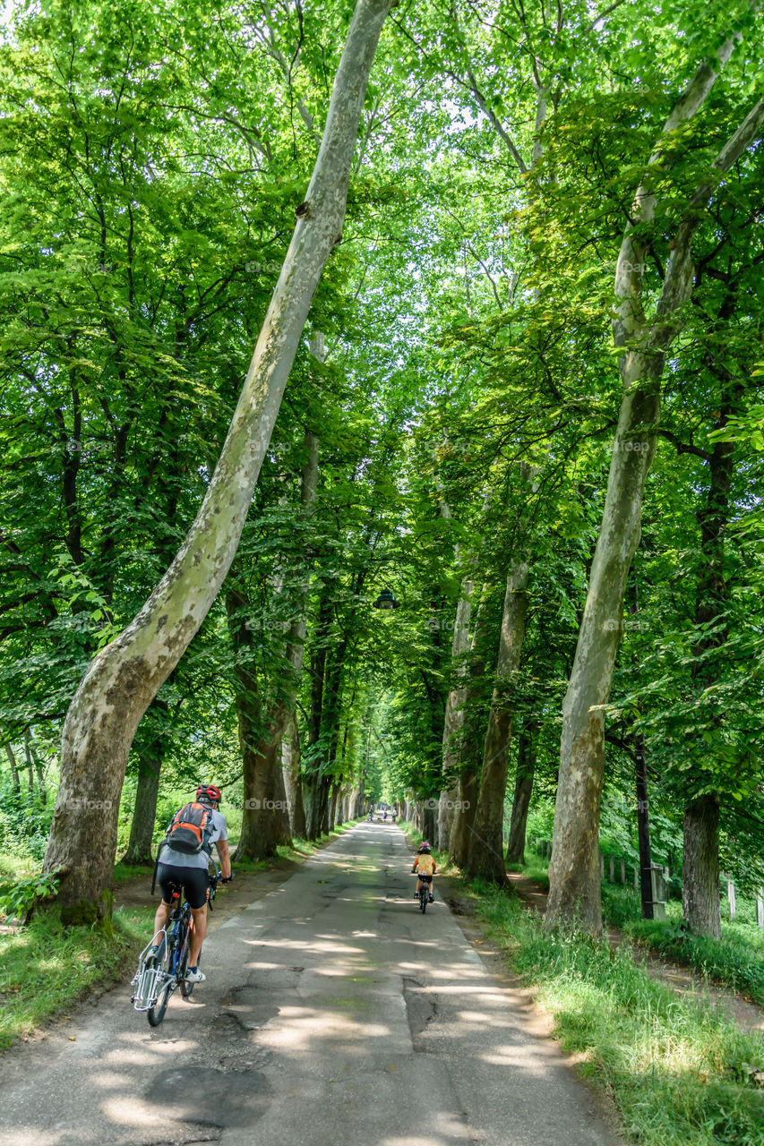 Biking over alley