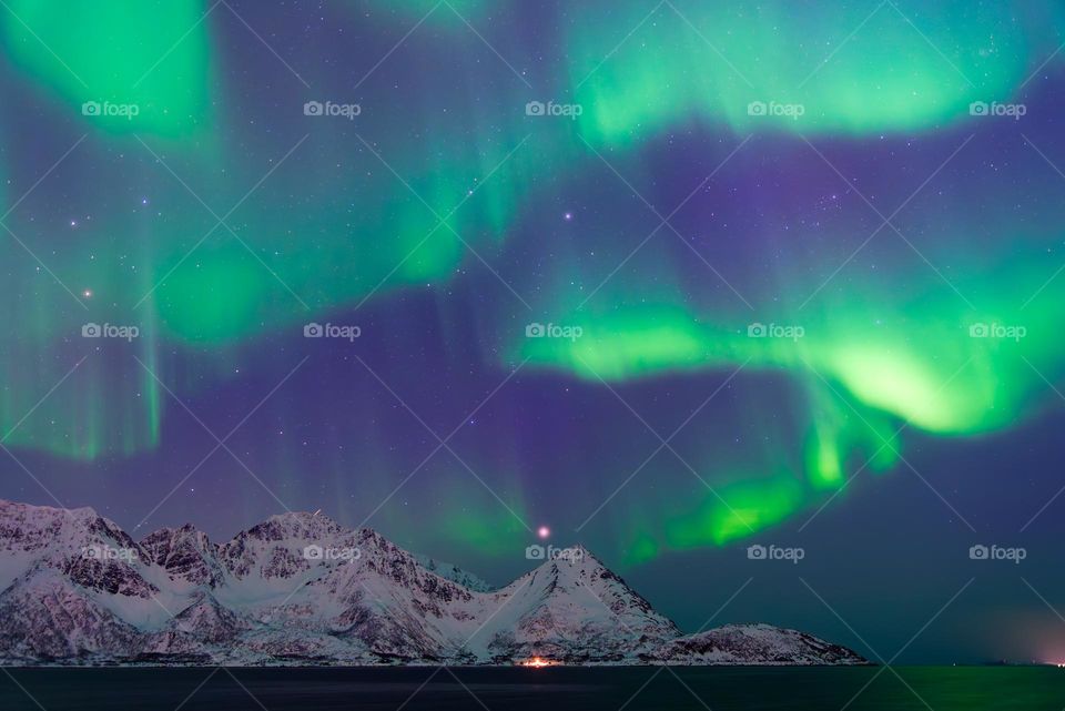 Northern lights above snow covered mountains including Klubbnesviktinden in Loppa and Atlantic Ocean at Oksfjorden in Finnmark, Northern Norway on 23 March 2025.