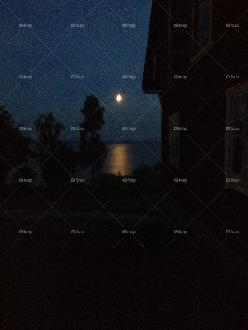 Moon