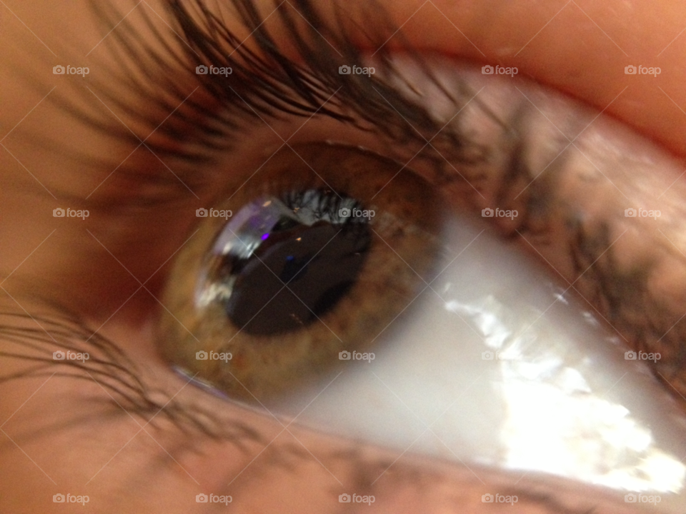 eye view human eyebrow by malanis