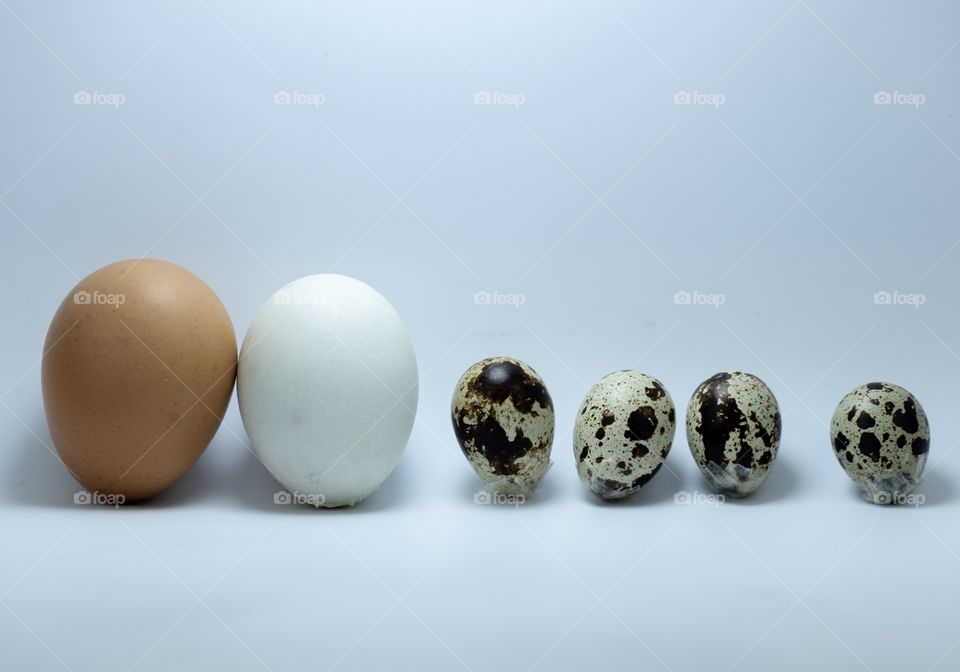 Type of egg