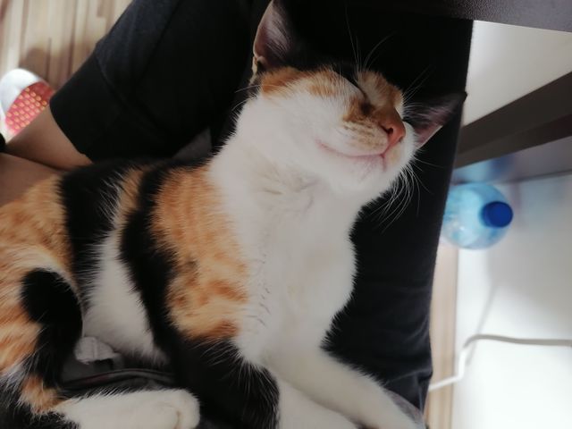 Sleeping baby