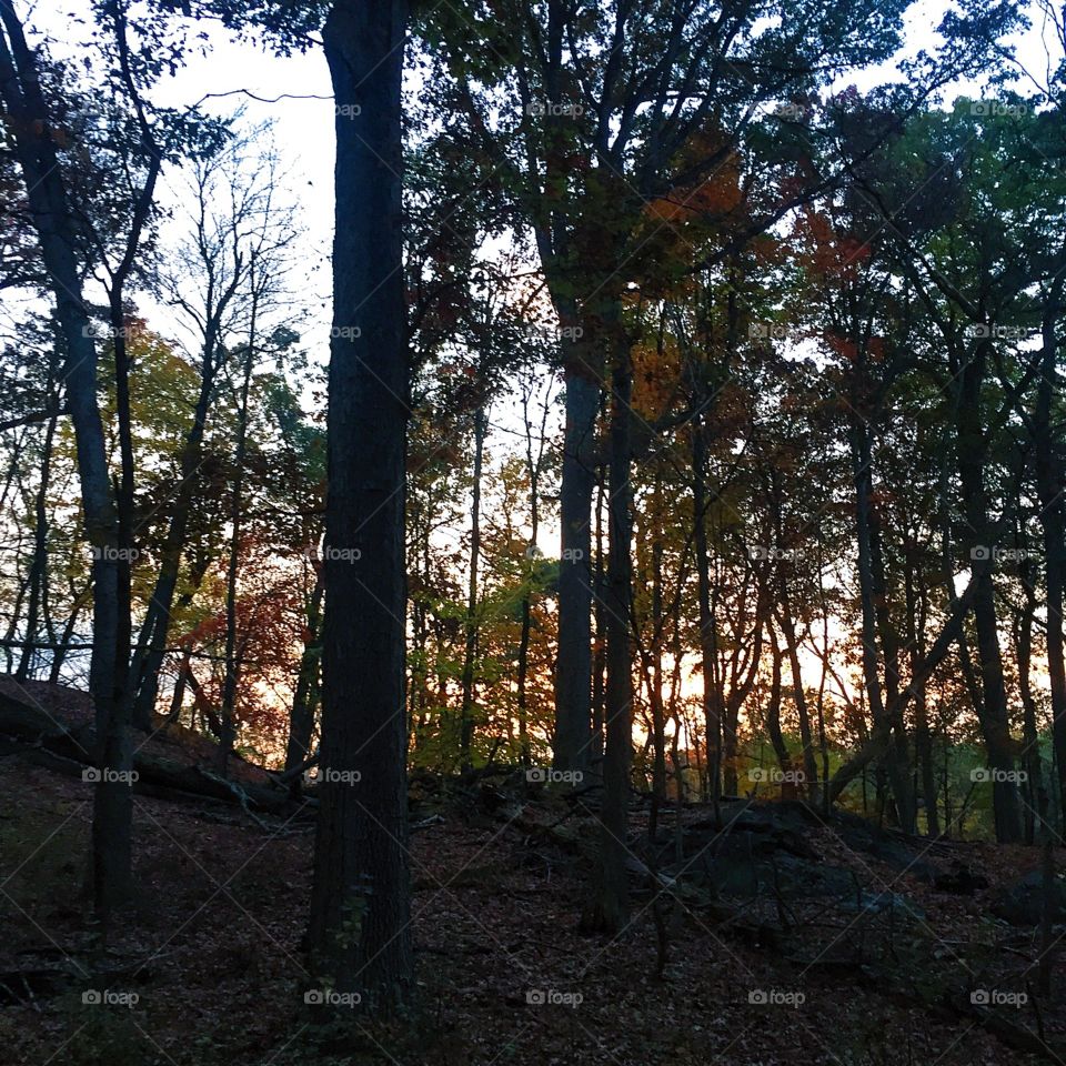 Nietzsche said that truly great thoughts are conceived by walking. I would say for me they are conceived by running. Another one from early this morning.  