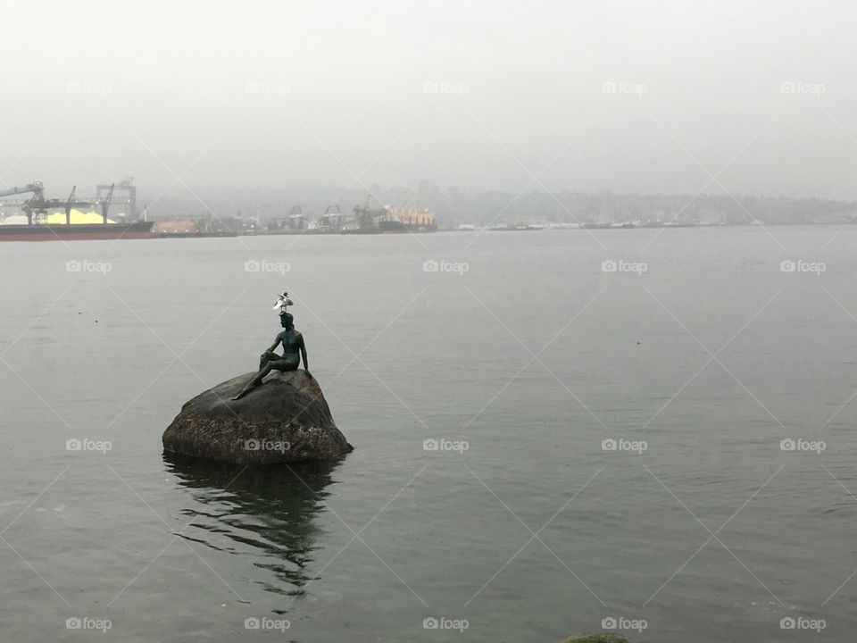 Seagull on a statue