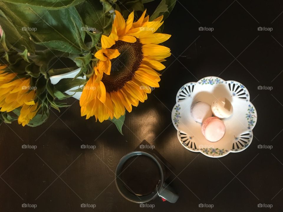 Sunflower treats