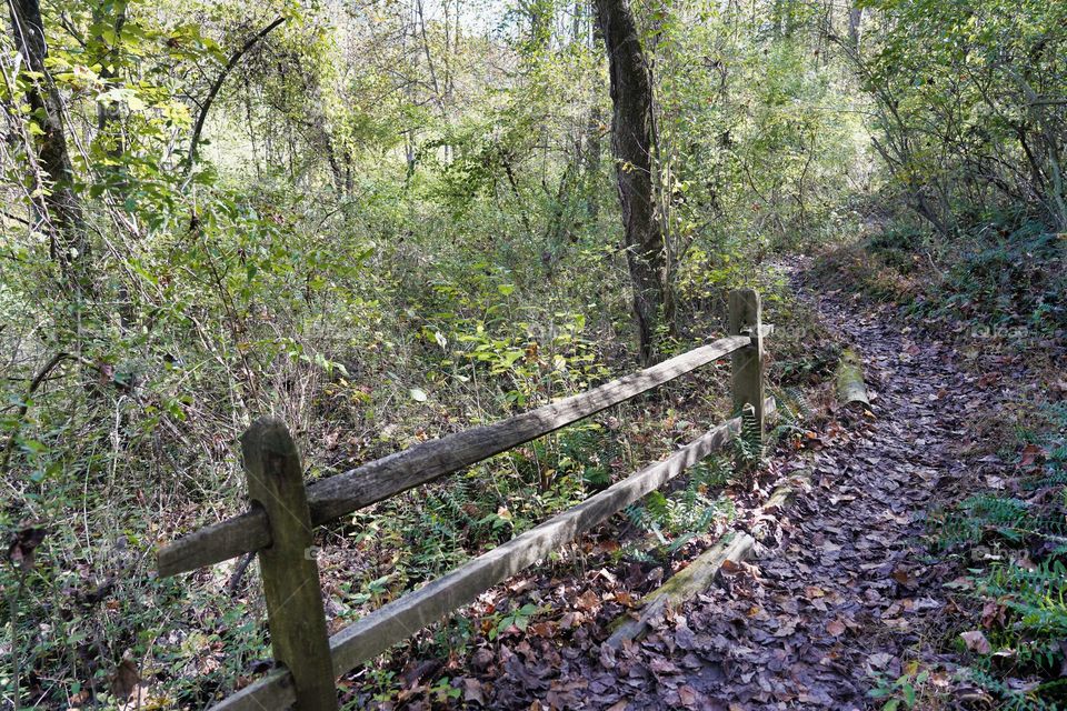 there's also a fence