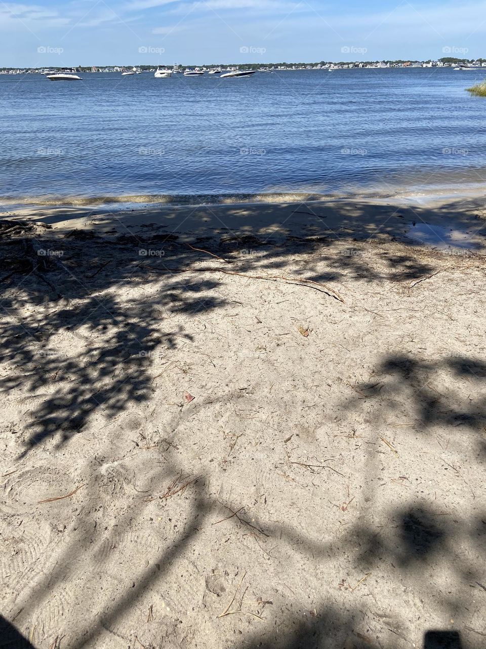 The beach at Cattus Island Park in Toms River, NJ. A hike through the trails in the woods leads to beautiful and secluded beaches like this one. You can sit beneath the trees and look out at the waters of Silver Bay. 