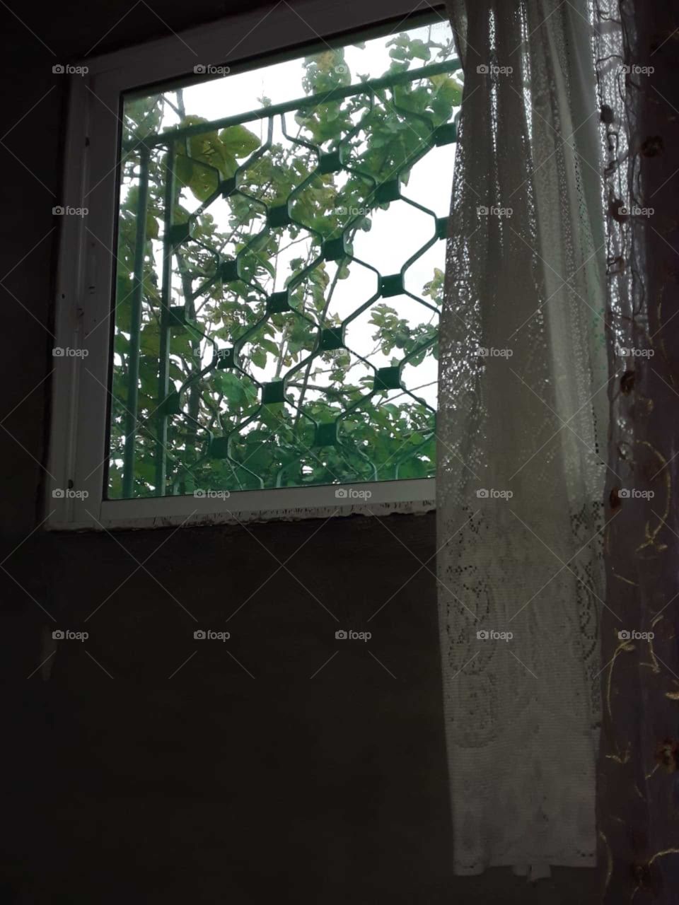 my life window ♒♒💜💜🌡