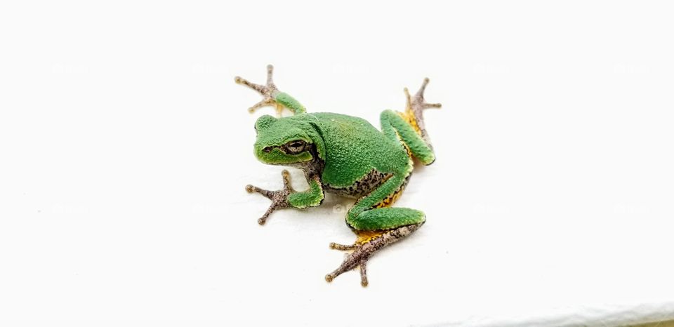 what are you looking at?