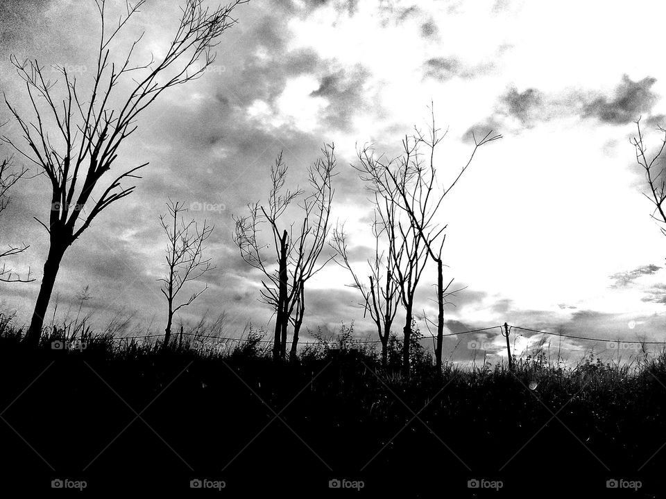 An eerie place near the forest.sky and clouds as background