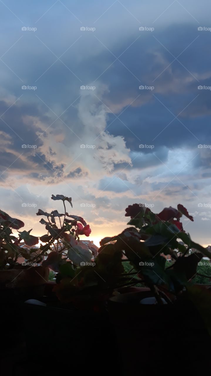 Beautiful cloudy sunset