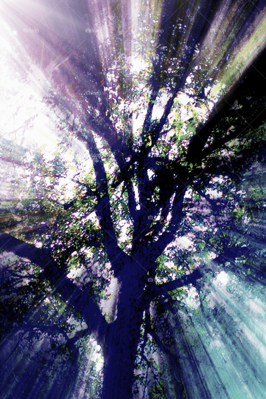 Tree. (Reimagined)