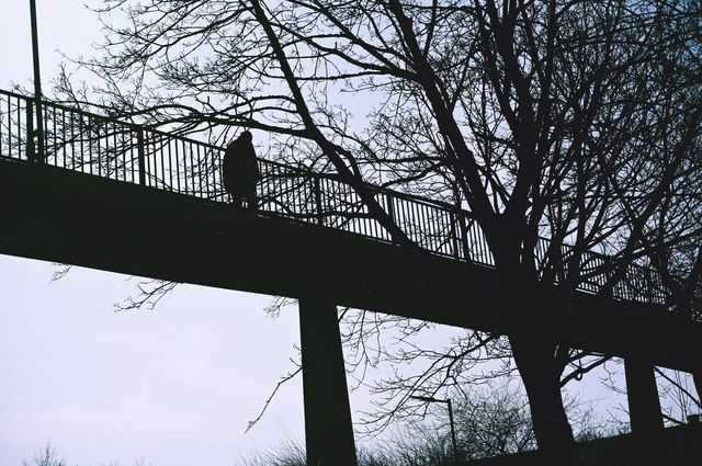 silhouette on the bridge