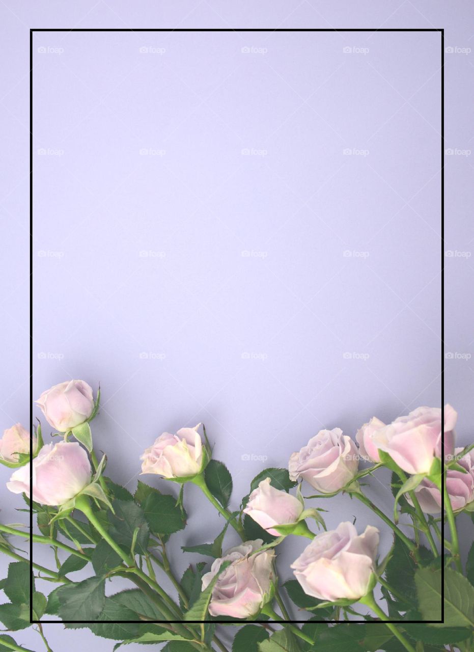 so nice background violet colour and nice pink flower print nice and beautiful card print.