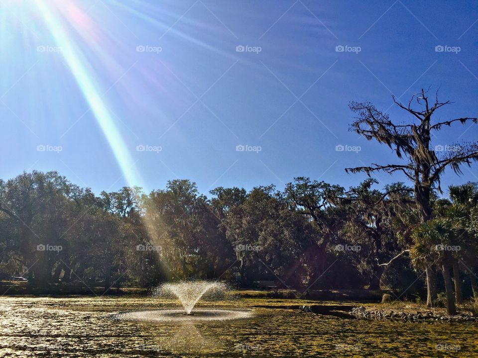 New Orleans Park