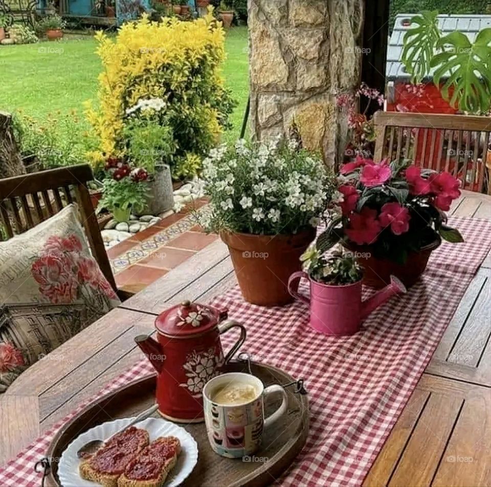 A very beautiful picture, and there is no better picture than it. There is no better picture of green herbs and colorful, red and white roses than it. Glory be to God, the natural and picturesque view, and there is no more