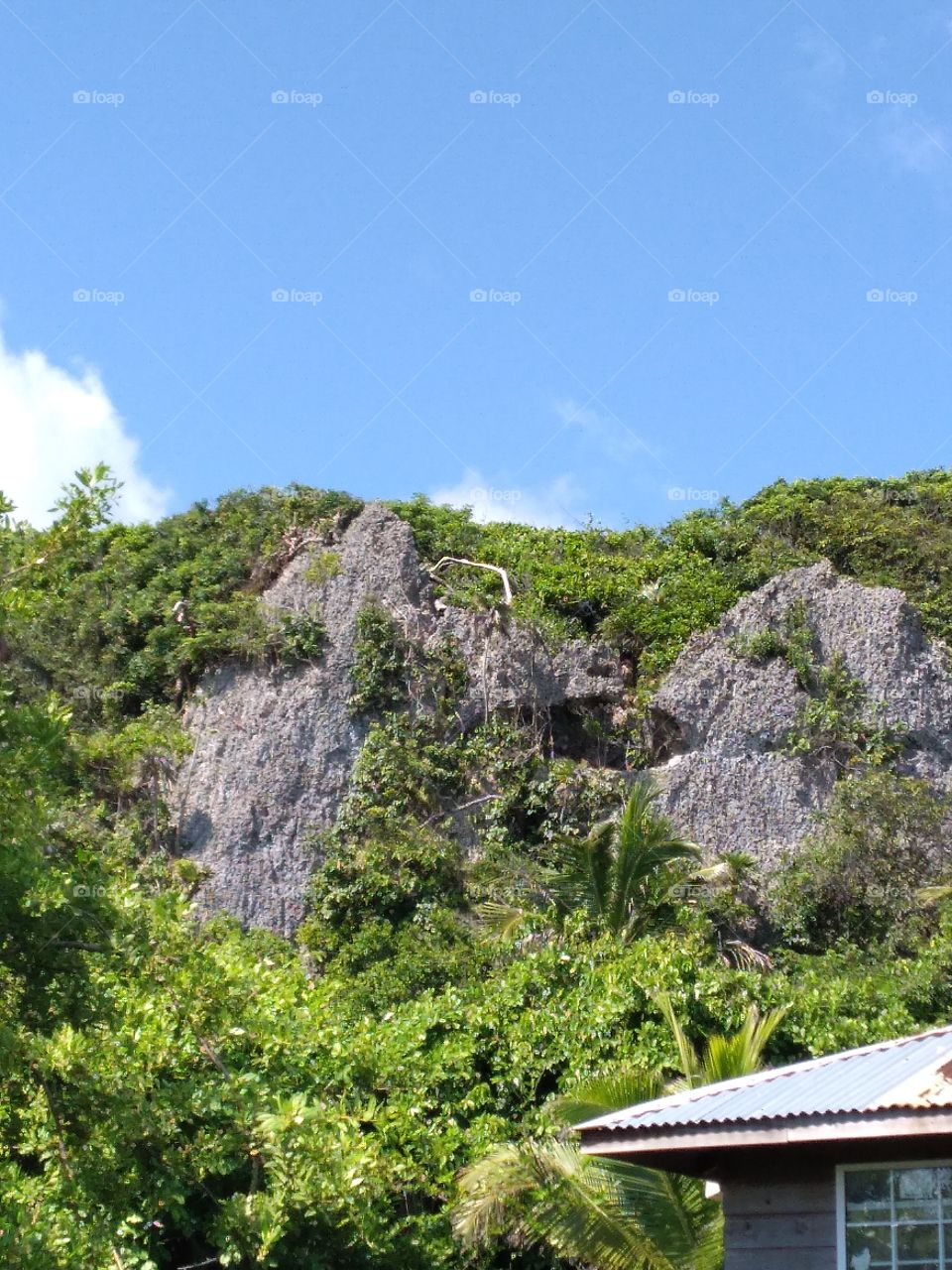 a view behind my house