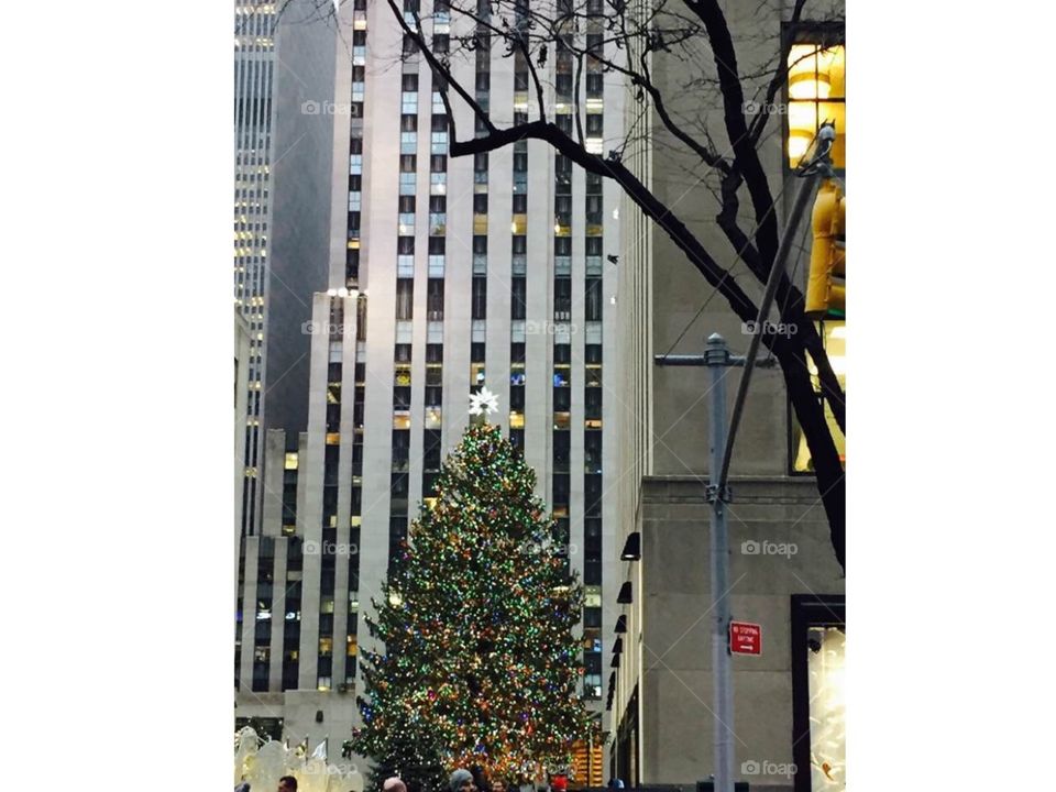 Rockefeller Tree 