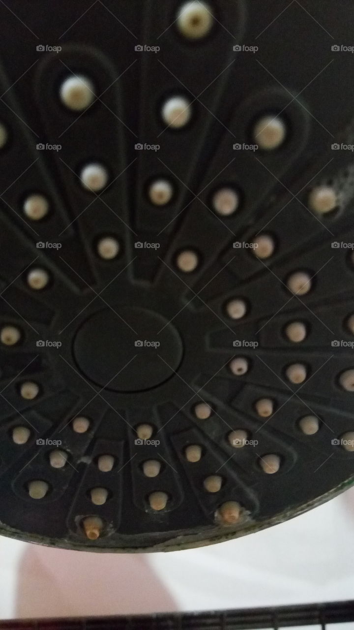 No Person, Round, Round Out, Closeup, Desktop