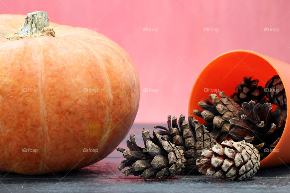 Vegetables, Halloween, pumpkin, corn, harvest, fertility, agriculture, food, cones, forest, birch branches