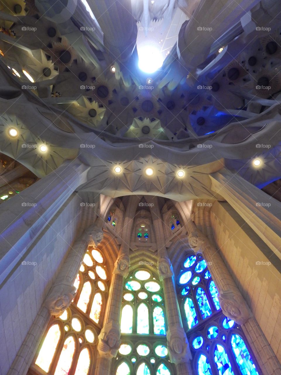The ceilings of sagrada familia in Barcelona Spain 