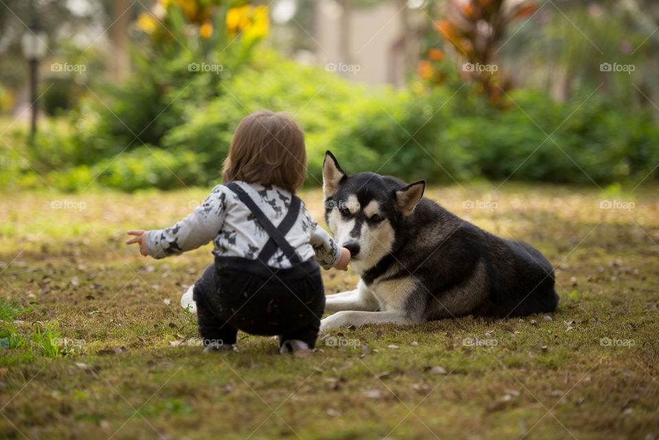 child feeding his dog