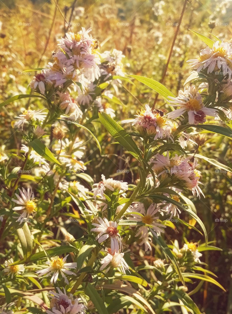 A place under the sun