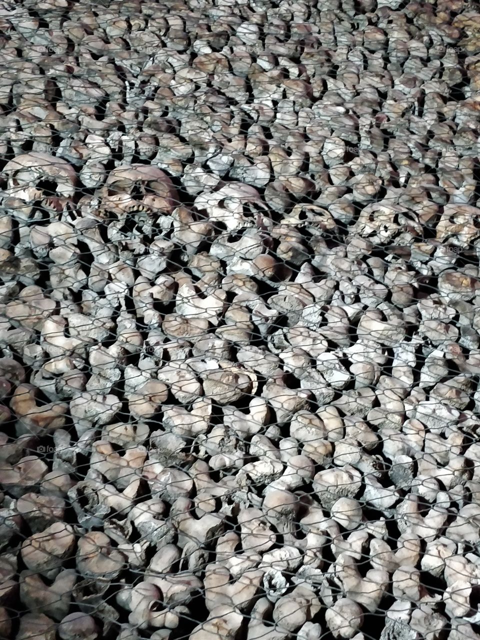 skull 💀, real human skulls (San Bernardino alle Ossa)