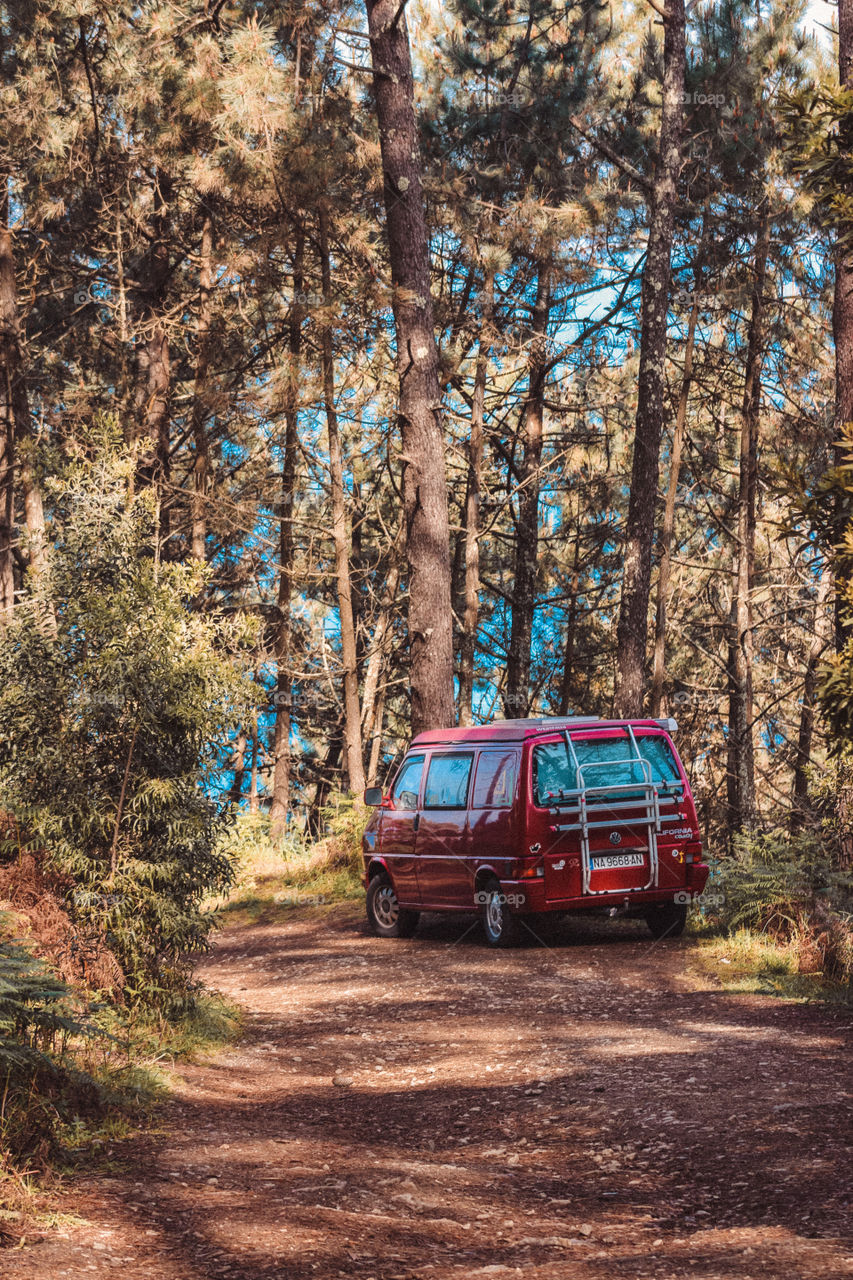 camping view