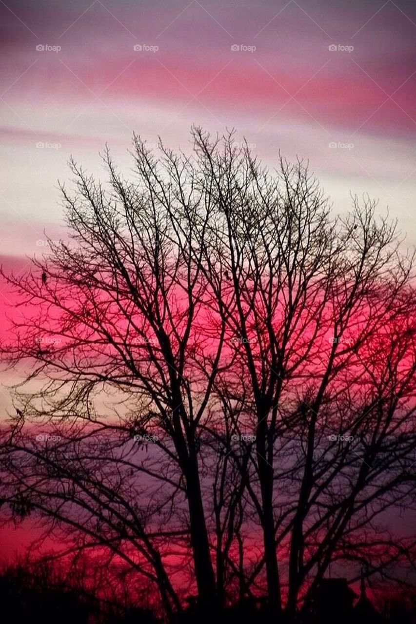Pink_Skies