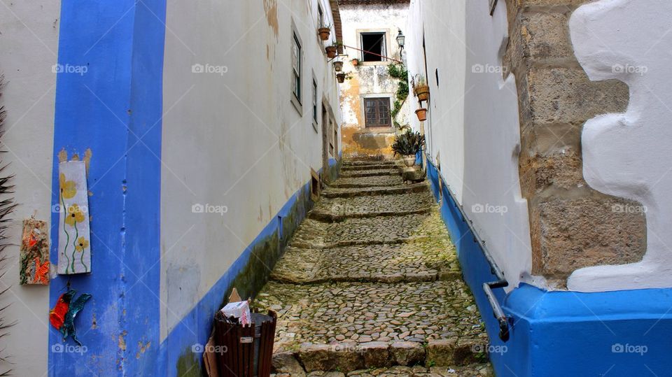 Alleys of Portugal 