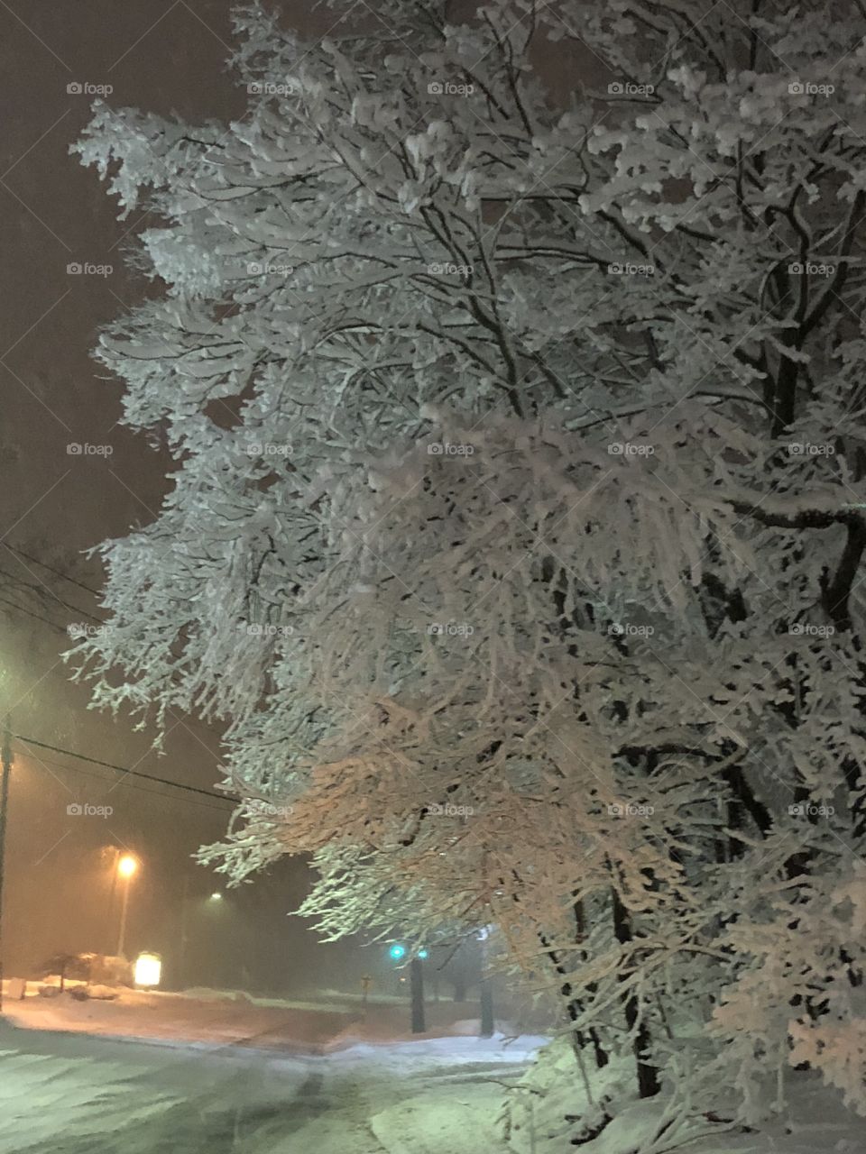 Blizzard tree