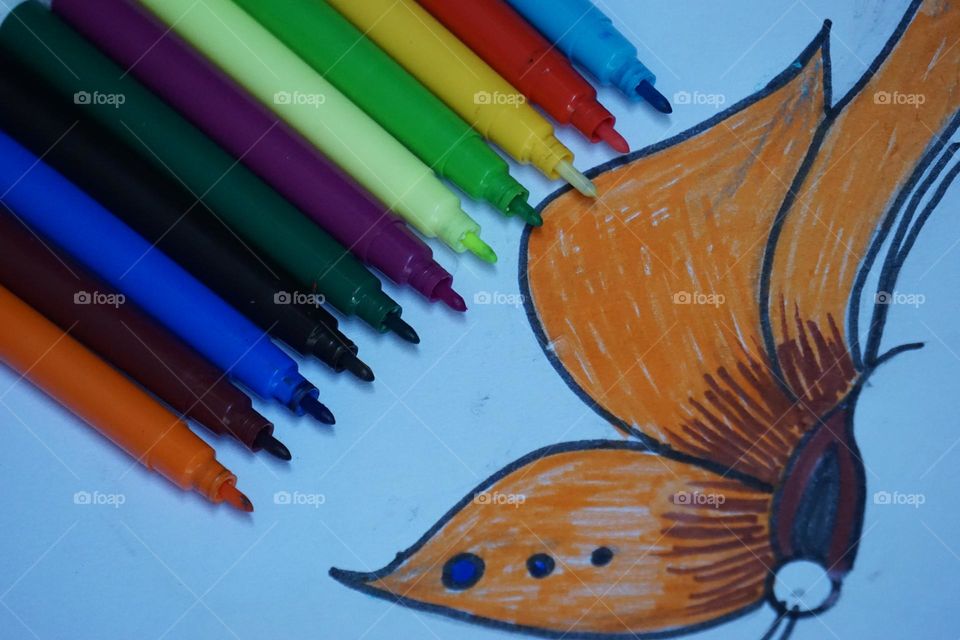 colour pencil