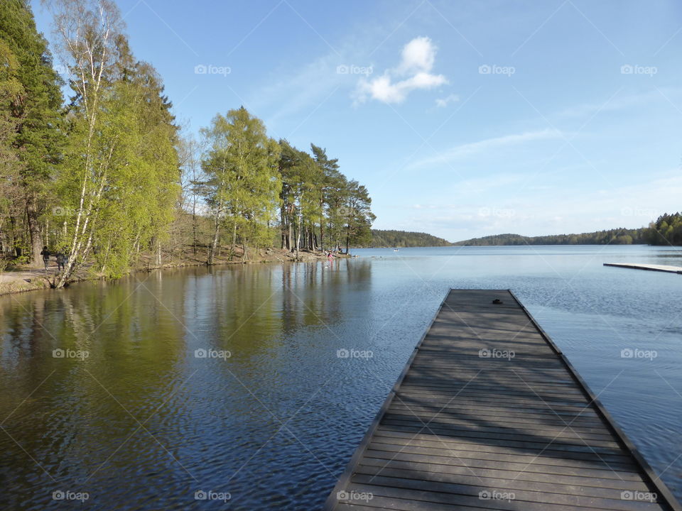 Jetty in a lake in spring